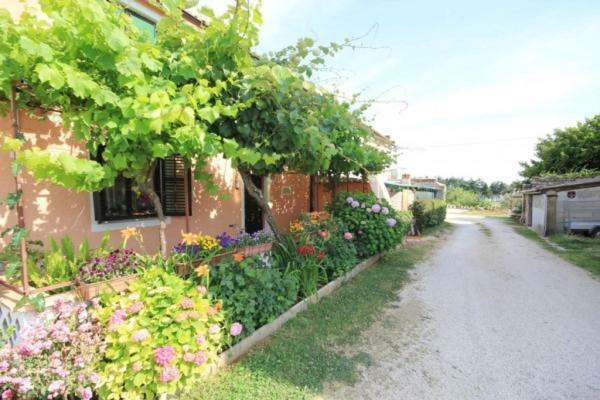 Apartments Mijat Novigrad Istria 외부 사진